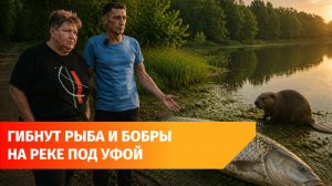 «Вонь несусветная»: как любимое озеро уфимцев превратилось в зону бедствия