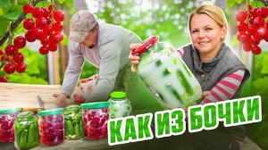 СЕКРЕТЫ ДЕРЕВЕНСКИХ ЗАКАТОК! ХРУСТЯЩИЕ ОГУРЦЫ С МУКОЙ И ВИШНЯ В СОБСТВЕННОМ СОКУ. ПОЛ ГОТОВ!