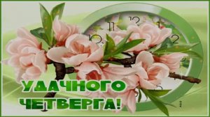 С ДОБРЫМ УТРОМ ЧЕТВЕРГА! РАСЦВЕЛА МАЛЬВА!