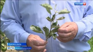 Вести на черкесском языке 07.07.2026