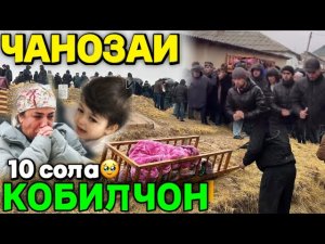 ЧАНОЗАИ КОБИЛЧОН 10 СОЛА БА ХОК СУПОРИДАН 🥹 ДУО КУНЕН БАРОДАРО 🤲