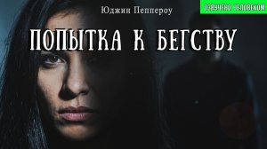 ПОПЫТКА К БЕГСТВУ | Детектив | Современные авторы | Аудиокнига | Юджин Пеппероу