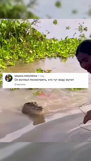 Приколы
