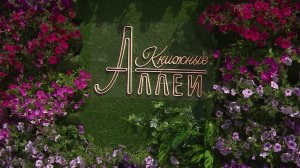 День семьи, любви и верности на Книжных аллеях