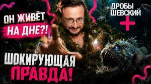 Кто обитает на дне океана? Вся правда о гигантских кальмарах, мегалодонах и других жителях глубин