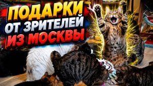 Подарки от зрителей из Москвы.