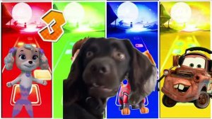 Райдер, Скай и Либерти против мощных басов на плитках Tiles Hop! 🐶🧑✈️🚁🏙️🎵🕺🔥