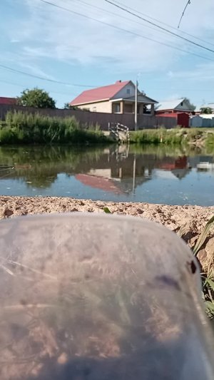 с друзьями на рыбалке