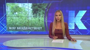 Новости Калининграда — итоги дня, 07.07.2026