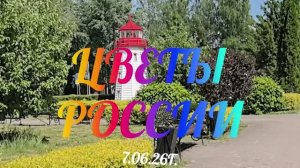 Цветы России 7.06.26г.