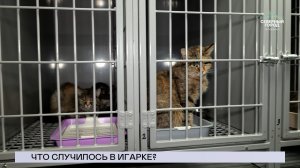 НОВОСТИ СЕВЕРНОГО ГОРОДА, 08.07.2026