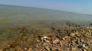 Ейск. Медуз мало. Вода +26, воздух +28!