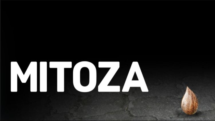 Игра mitoza , попробуйте угадать что будет дальше! смотреть онлайн