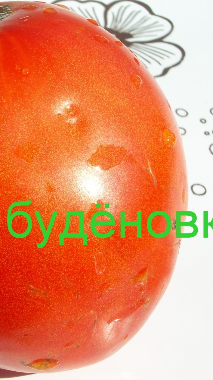 Томат Буденовка или "Бычье сердце"