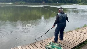 Алексей ,ловля на пуфы