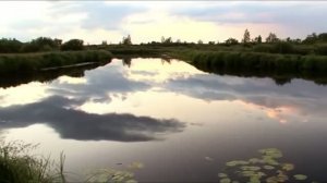 Мой старый друг