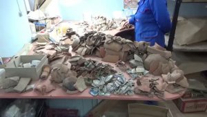 Богатая находками яма из раскопа по улице Севастопольская, 20