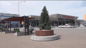 В Башкортостане объявили режим «Беспилотная опасность»