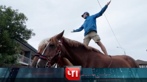 «ЧП»: 8 июля 2026 года | «Чрезвычайное происшествие» на НТВ