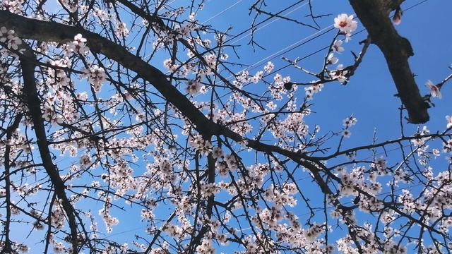 Один из дней города Евпатории | 7 апреля 2022 год | Крым ХАН БАТОН XAH 6ATOH | VID_20220407_145235
