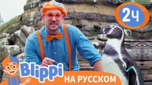 Блиппи изучает пингвинов в Зоопарке 2 ЧАСА _ Обучающие видео для детей