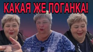 КАКАЯ ЖЕ ОНА ПОГАНАЯ БАБА! ОЛЬГА УРАЛОЧКА LIVE. ОБЗОР.