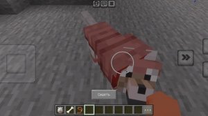 ИГРОК И СОБАКА ПЕРЕЛЕЗЛИ ЧЕРЕЗ ЗАБОР, ИГРОК И СОБАКА БЕГУТ ПО ДОРОГЕ ПОКА НЕ ЗАМЕЧАЮТ