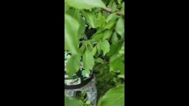 1837.mp4 смотреть онлайн