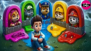 Щенячий патруль и Маршалл. Залипательное видео. Мультфильм для детей и малышей. Анимация 761