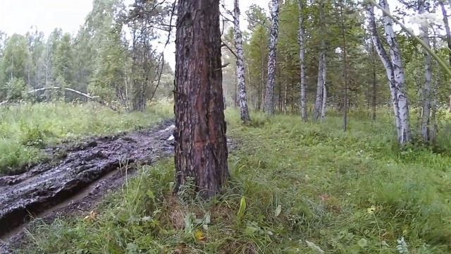 Златоуст 4х4 Тоета 100 и УАЗ Болото ходом смотреть онлайн