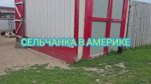 ПО ОЧЕНЬ ВАЖНОЙ ПРИЧИНЕ ПРАЗДНИК ПЕРЕНОСИМ