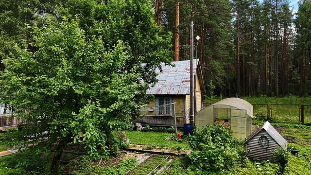 Репино Большой 41 смотреть онлайн