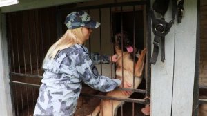Поздравление с профессиональным праздником
