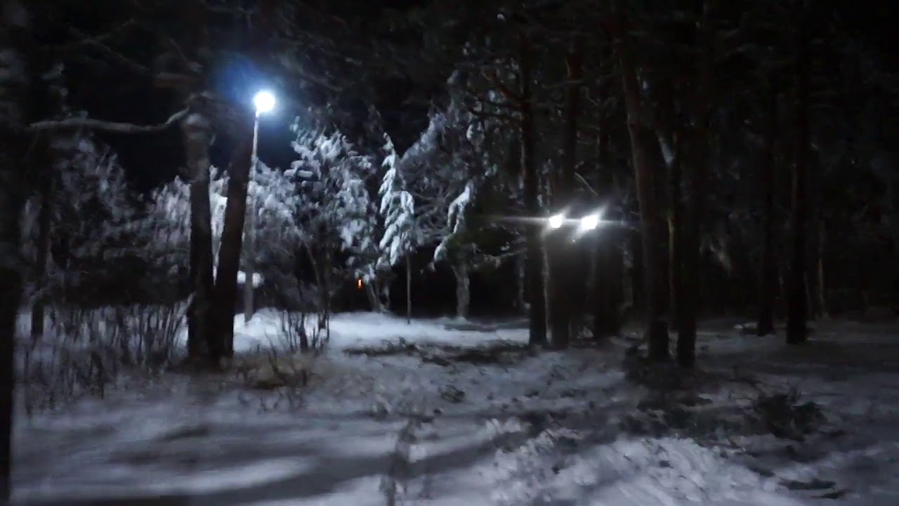 г.Луза. Зимний сад. Вечерняя прогулка по Горсаду. Ноябрь 2019 смотреть онлайн