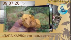 🍄🟫 ГРИБАЛКА «Хутор~Бор»