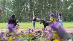 Медиатур «Дорогами дружбы» в Тверской области