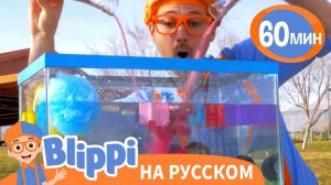 Плыви или Тони _ Обучающие песни для детей _ Blippi Russian