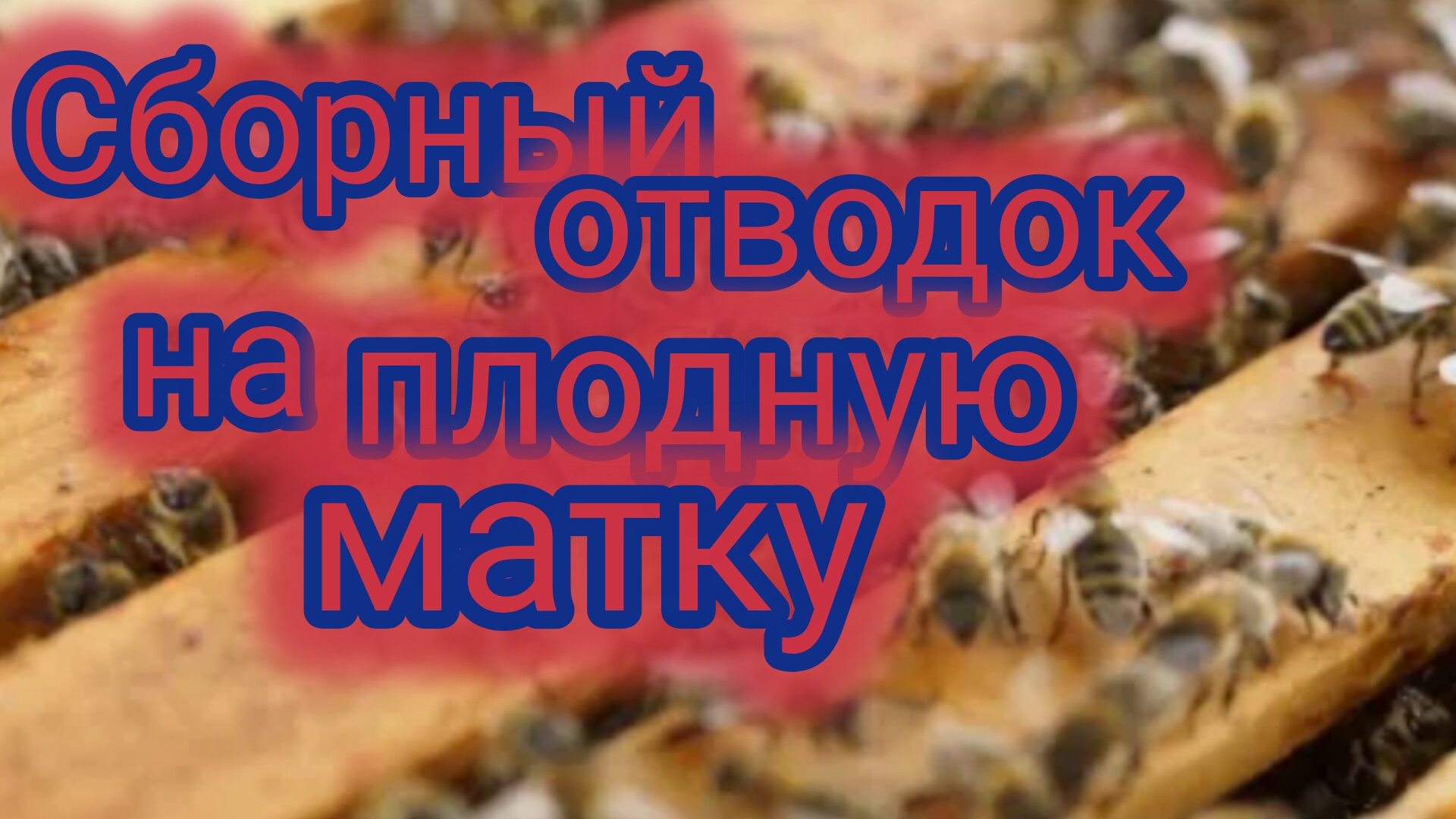 Сборный отводок на плодную матку смотреть онлайн