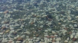 Море в Алуште. Тут всегда так! ? !