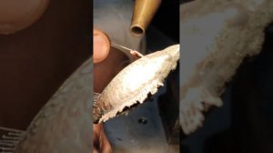 Унаследование духа мастерства