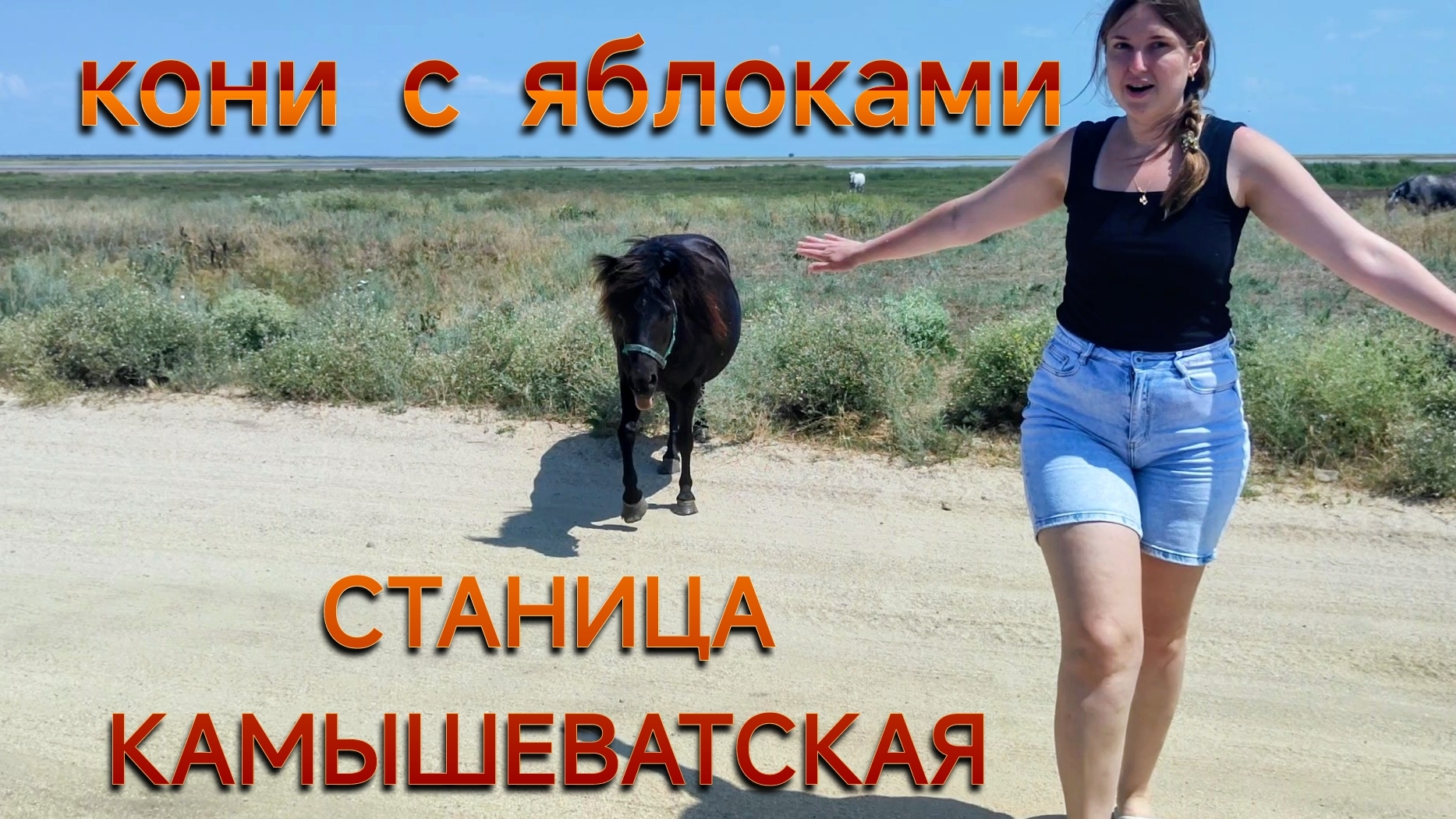 СТАНИЦА КАМЫШЕВАТСКАЯ.А НЕ КУПИТЬ ЛИ НАМ ЛОШАДЬ? смотреть онлайн