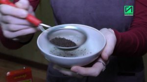 ИА «Грозный-информ» опровергло фейковое видео о чае «МК»