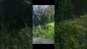 пояснения к происходящему 07.07.2026