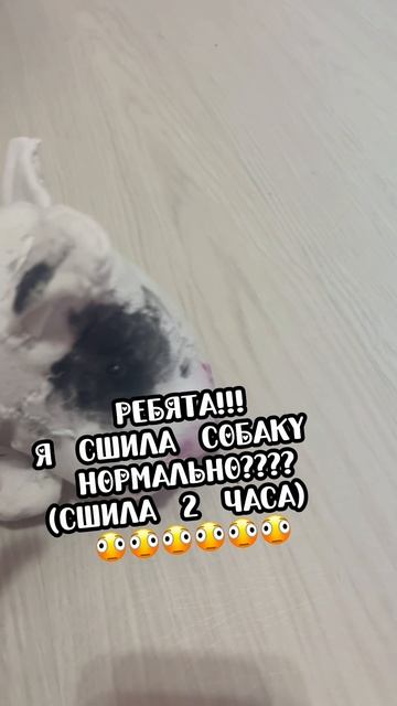 Это бультерьер