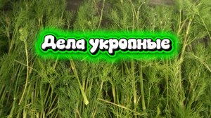 ВЛОГ. НАШ РУТУБЧИК 🙈БОЛТАЛКА 🤗