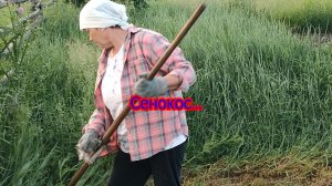 Домашка... Сено убираем.