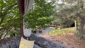 Поездка в РостовСад🌿9 июля 26г🌿