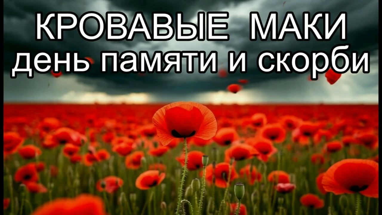 КРОВАВЫЕ МАКИ. День памяти и скорби. смотреть онлайн