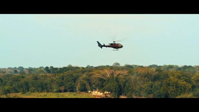 Африканская саванна (видео) смотреть онлайн