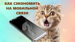 Как экономить на мобильной связи